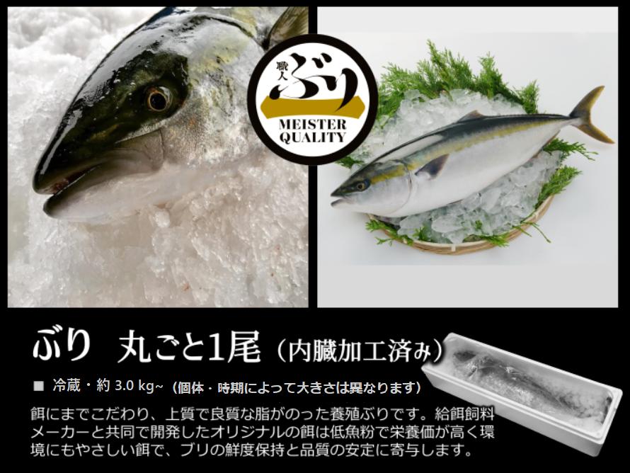 C3-4715／【鹿児島産ぶり】冷蔵・ぶり丸ごと1尾（内臓処理済み）