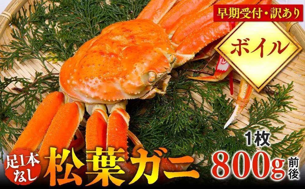 【早期受付】【ボイル】足1本なし 訳あり 松葉ガニ 大1枚（800g前後）※着日指定不可※2026年11月上旬頃から順次発送予定 松葉ガニ