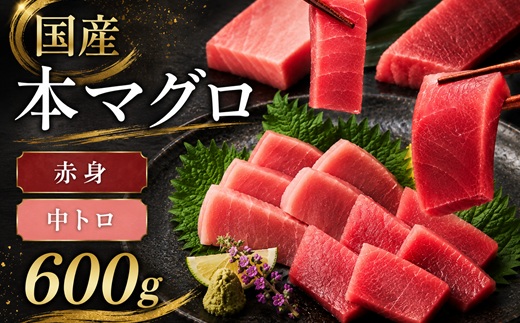 【2-134】国産本まぐろ中トロ赤身冷凍短冊セット　600ｇ以上