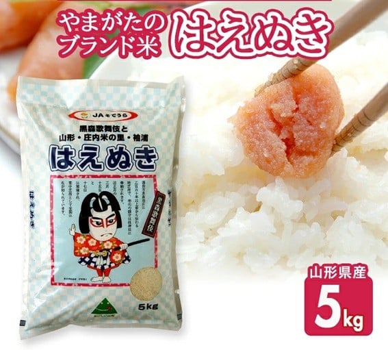 
            はえぬき 5kg 山形県産 令和7年産米 農協 JA 米 お米 精米 白米 ごはん 東北 酒田市 庄内 JS JAそでうら　SA2815
          
