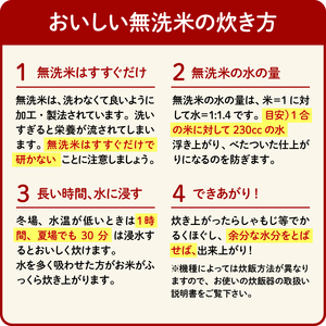 令和5年産 新米 無洗米 ミルキークイーン 5kg 静岡県産 精米 白米 お米 おこめ ご飯 ごはん 国産 産地直送 静岡県 藤枝市 ( 人気無洗米 ふるさと納税無洗米 ふるさと無洗米 furusat