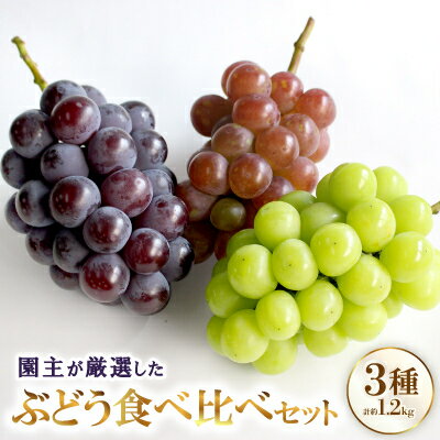 【ふるさと納税】厳選 3種類のぶどう食べ比べセット【配送不可地域：離島・北海道・沖縄県】【1482869】