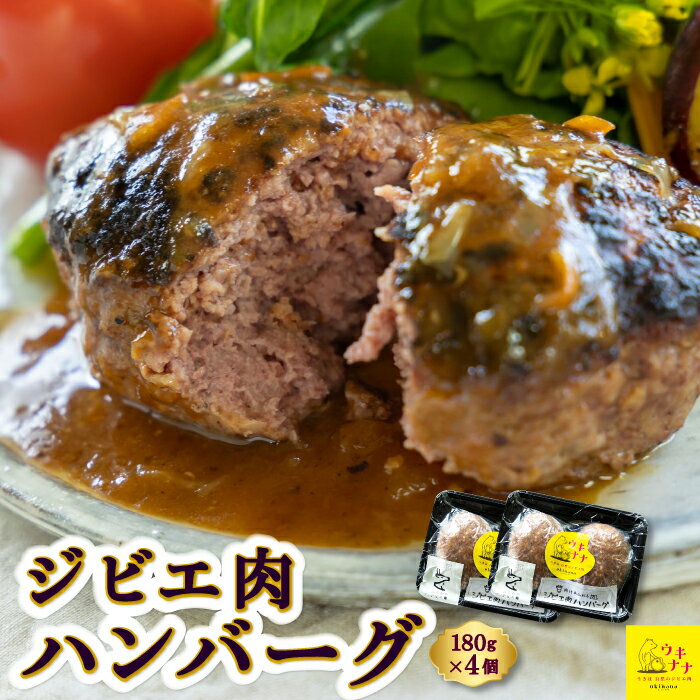 【ふるさと納税】【ジビエ】肉汁溢れるジビエ肉ハンバーグ 180g×4個