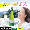 【ふるさと納税】煎茶コンブチャ　fog-sencha 750ml オリジナルコンブチャ お茶 発酵飲料 腸活 白川町 / 新田製茶[AWBK006]