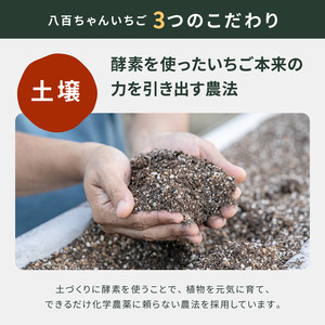 【定期便・全3回】農家のホンモノ いちごジャム 140g 2本セット × 3回｜五つ星ひょうご認定 国産 砂糖不使用  八百ちゃんいちご
