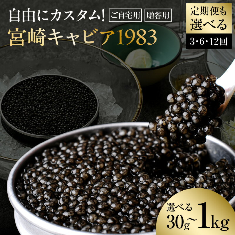 【ふるさと納税】【用途・内容量・発送時期が選べる】 【自由にカスタム！】宮崎キャビア1983 30g 50g 100g 200g 500g 1kg ご自宅用 贈答用 定期便 贈り物 ギフト プレゼント 贈答 化粧箱入り シェルスプーン キャビア 熟成キャビア 世界三大珍味 高級食材 国産 宮崎県産