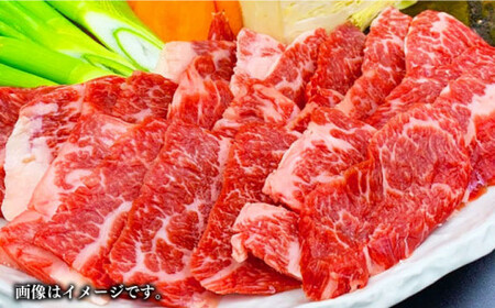GI認証 あか牛 焼肉用 切り落とし 計約600g【くまふる合志市】[AYBC002]