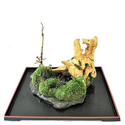 ふるさと納税 豊川市 苔盆景川石山水画は、心を癒す美しい自然の景観をお部屋に届けるアイテムです。 |  | 01