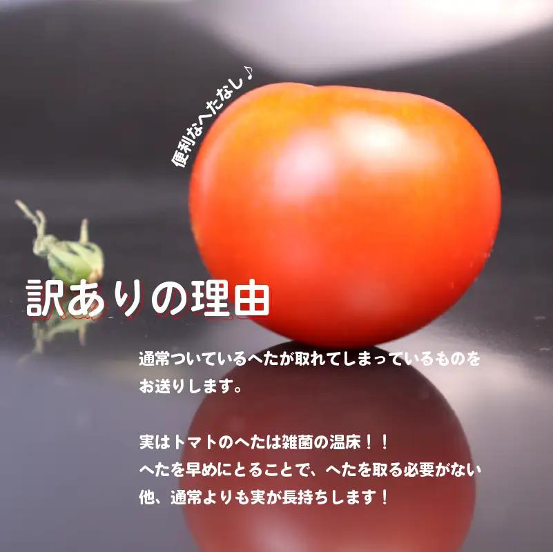 【訳あり】トマト 1kg 中玉 マキノハニー 枝完熟  静岡県 牧之原市 トマトップ