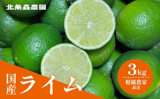 さわやか果実  ライム 約3kg  | ライム みかん 柑橘 国産ライム ジュース カクテル スイーツ サラダ 愛媛 松山 北条 果物 フルーツ 産地直送
