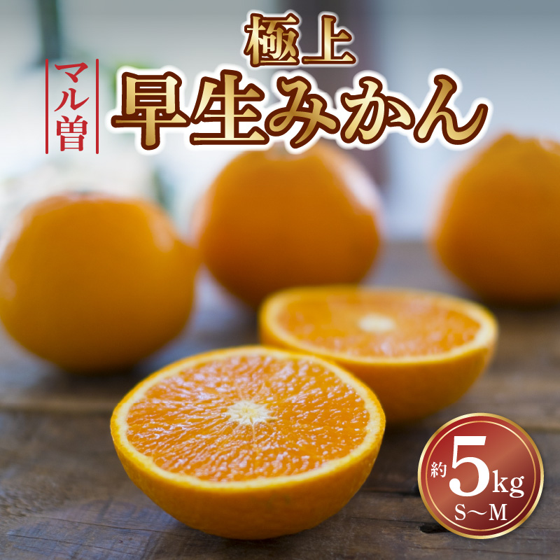 M64-0012_【ふるさと納税】【11/15より発送】三豊市産 極上【マル曽 早生みかん約5kg】S～Mサイズ