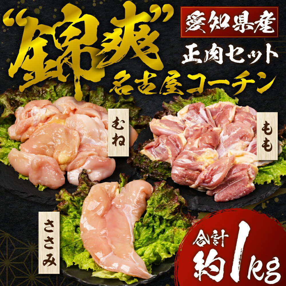 【ふるさと納税】名古屋コーチン 正肉セット 800g 国産 もも むね ささみ 鶏肉 鳥肉 約 1kg 1キロ モモ ムネ もも肉 むね肉 ささみ とりささみ ブランド鶏 地鶏 ブランド地鶏 とりもも とりむね 錦爽鶏 愛知県 豊橋市 肉 お肉 冷蔵 1万円 10000円 愛知県 豊橋市