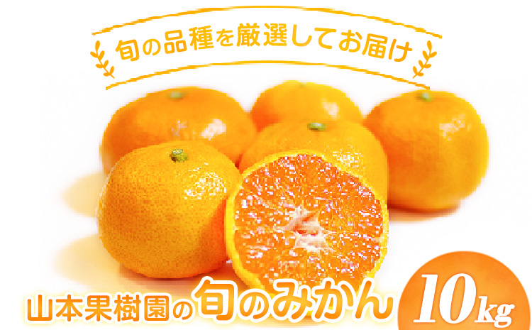 山本果樹園の旬のみかん 10kg 山本果樹園《９月中旬-2月末頃出荷予定》蜜柑 柑橘 ひのあかり 日南 豊福　肥後早生 青島---sh_ymmtmkn_bc92_r7_13500_10kg---