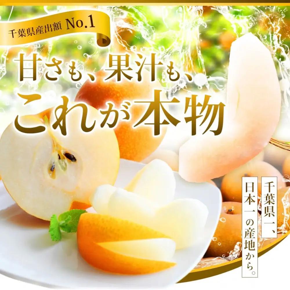 あきづき約5kg12～18玉