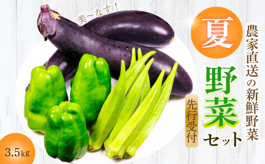 【先行受付】みのる農園 農家直送！夏野菜セット(ナス、ピーマン、オクラ)3.5kg やさい 詰合せ BBQ 2026年7月～10月上旬お届け 広島県三原市 206002