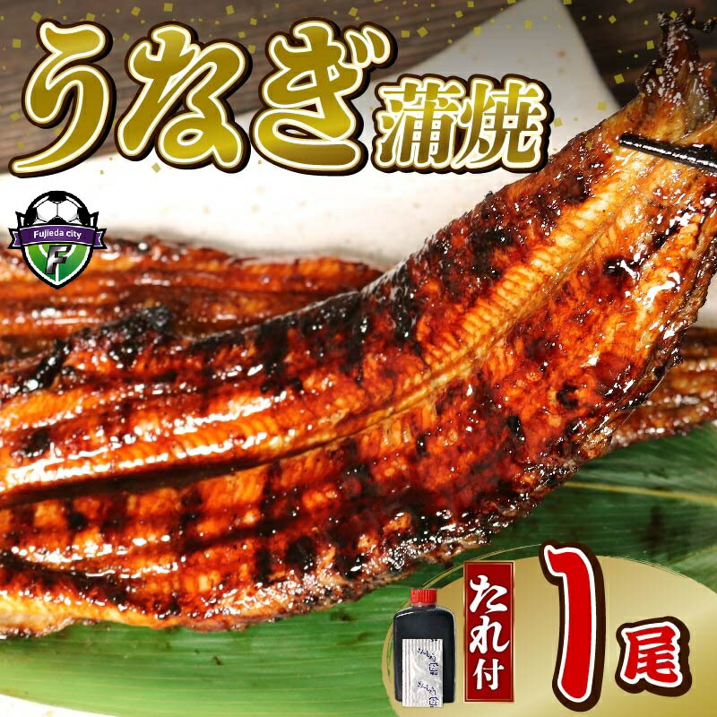 【ふるさと納税】 【訳あり】 うなぎ 蒲焼 1尾 140g 冷蔵 鰻 土用の丑の日 電子レンジ 調理 直火焼き 関西風 ウナギ 和風惣菜 おかず 晩ごはん 晩酌 夏バテ予防 スタミナ料理 タレ付き グルメ うな重 うな丼 藤枝市 静岡県