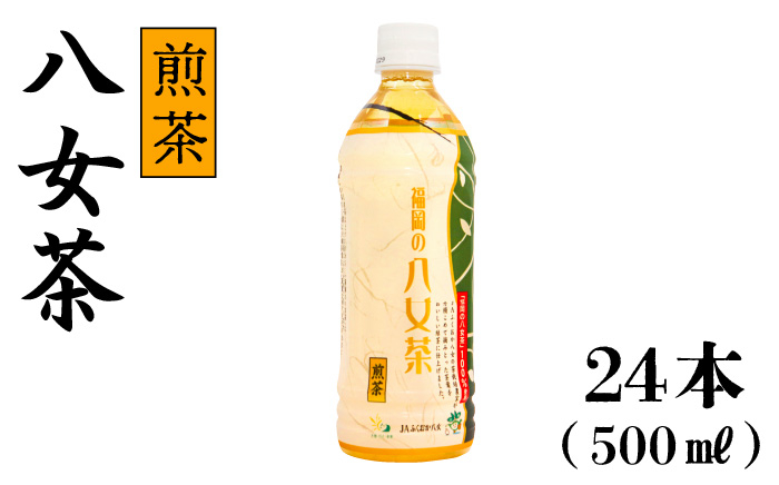 
福岡の八女茶 煎茶 500ml×24本入り＜一般社団法人地域商社ふるさぽ＞那珂川市 [GBX033]
