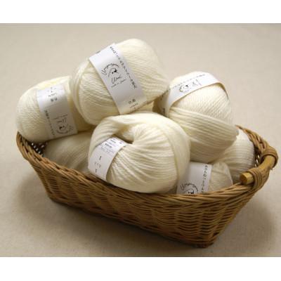 ふるさと納税 江南市 あみもねっと ウルグアイウール並太 1番色 10玉セット