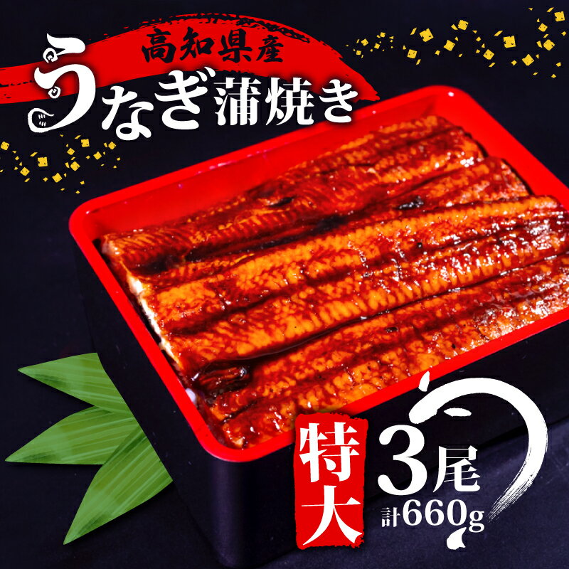【ふるさと納税】 肉厚 うなぎ の 蒲焼き 220g × 3尾 自家製 タレ セット 冷凍 頭付き 鰻 手焼き 蒲焼 タレ付き ふっくら 香ばしい うなぎ蒲焼き 鰻蒲焼 養殖鰻 養殖うなぎ 国産うなぎ 惣菜 真空パック 温めるだけ 簡単調理 ふるさと納税うなぎ 土用の丑の日