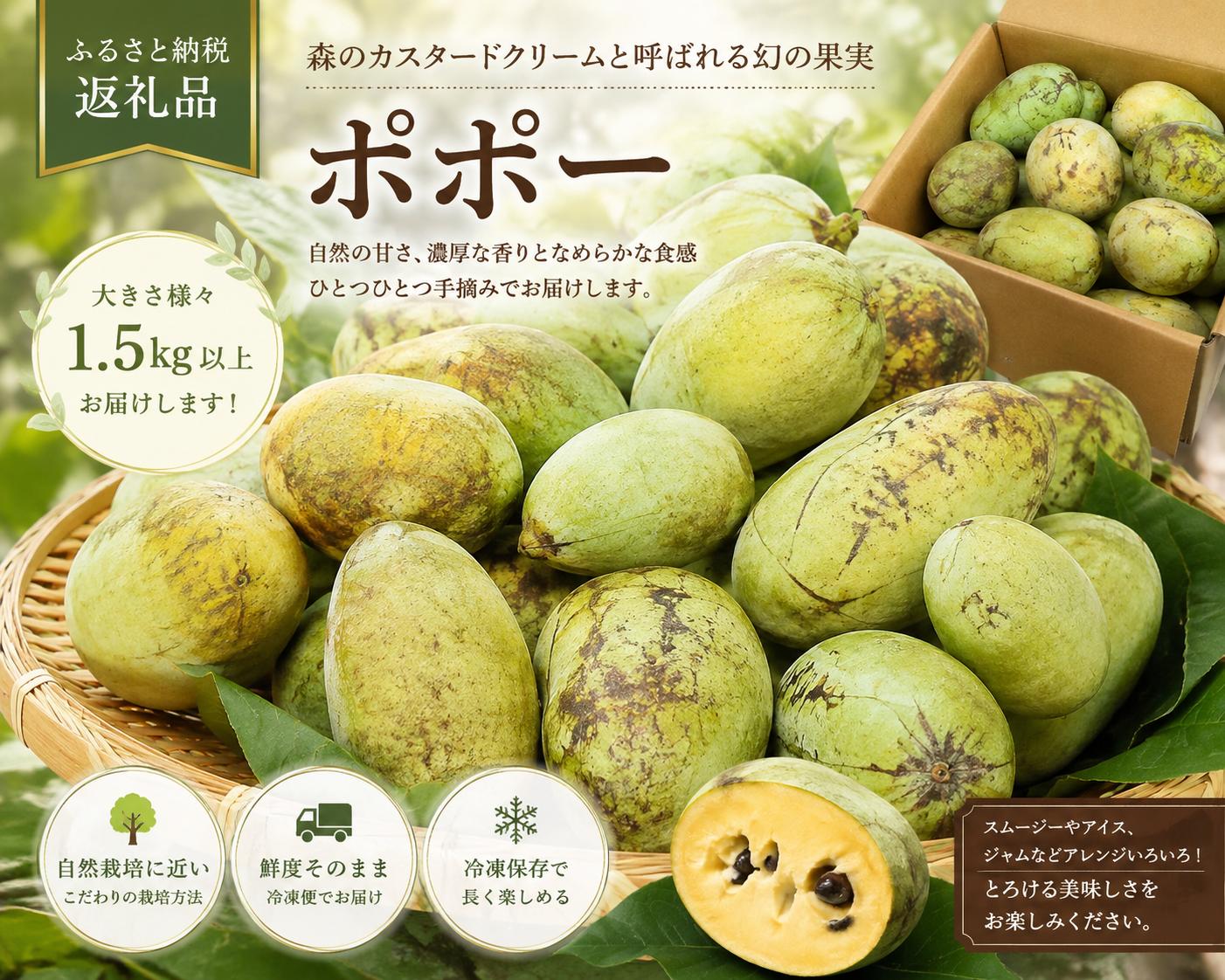 
                  ※限定10個【デザート】【大きさ様々（60～150g）】農薬不使用ポポー　1.5キロ以上（9月上旬頃から発送開始のお品です）
                