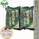 【ふるさと納税】令和6年産 魚沼産コシヒカリ 精米 6kg（3kg×2袋）　お米・コシヒカリ・新潟県産　お届け：10月より随時発送