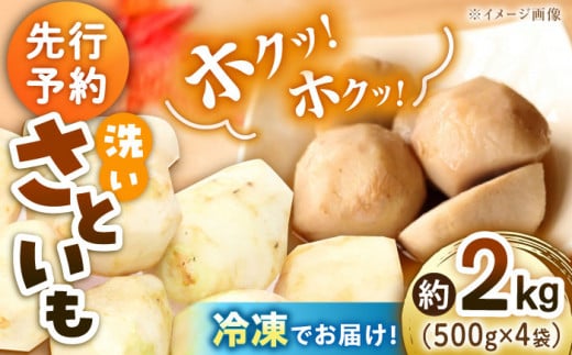 【冷凍】【9月下旬より順次発送】冷凍 洗い里芋 2kg（500g×4袋）　野菜 里芋料理 さといも煮 さといも 国産野菜 里芋料理　＼レビューキャンペーン中／愛媛県大洲市/沢井青果有限会社 [AGBN039]野菜 里芋料理 さといも煮 さといも 国産野菜