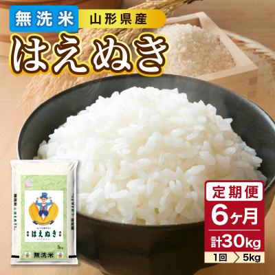 ふるさと納税 大江町 《6ヶ月定期便》山形県産 無洗米 令和7年産 はえぬき 5kg×6ヶ月(計30kg) 036-T03