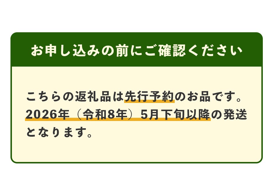 肥後グリーン メロン 計4玉 (2玉入り×2箱)