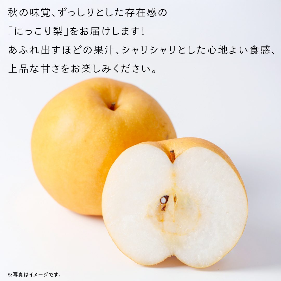 にっこり 梨 5kg （7～10玉）【2026年10月より発送開始】（茨城県共通返礼品 [梨]：大子町産） なし 旬 お取り寄せ フルーツ 甘い ジューシー 和梨 時期 [FC09-NT]_イメージ2