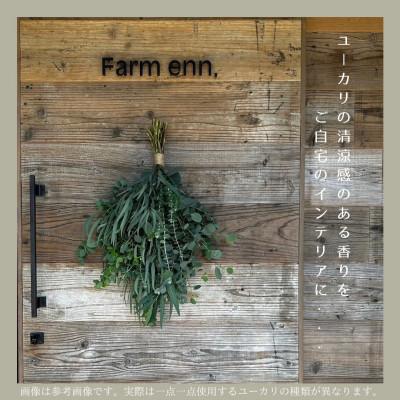 ふるさと納税 入間市 【ユーカリ農家が束ねる】摘みたてユーカリスワッグ |  | 02