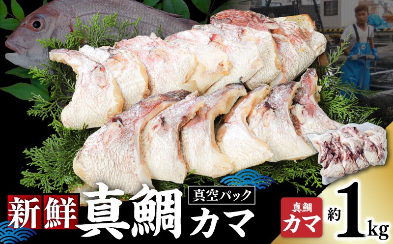 
            新鮮真鯛カマ（約1Kg）　M079-011-01
          