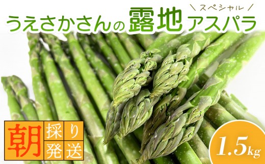 
                  朝採り発送 うえさかさんの露地アスパラ スペシャル 1.5kg | 5月中旬発送 アスパラ 北海道 期間限定 朝採り 露地アスパラ 野菜 サラダ 季節限定 アスパラガス ふるさと納税 オンライン申請 羽幌町 羽幌【20101】
                