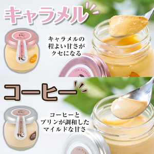 isa474 《毎月数量限定》伊佐っプー なめらかプリンセット （ 計6個・3種×各2個 ）洋菓子 プリン 洋菓子 スイーツ 鹿児島 おやつ 菓子 お菓子 ギフト お土産【FLOWER STINGRA
