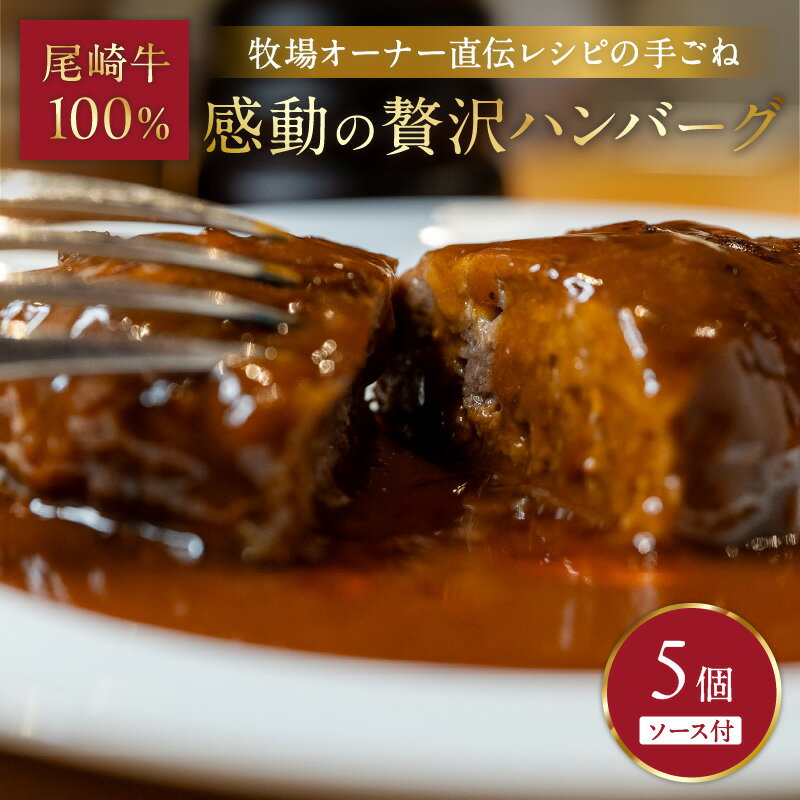 【ふるさと納税】牧場オーナー直伝レシピの手ごね感動の贅沢ハンバーグ180g（ソース別）5個【069-0005】