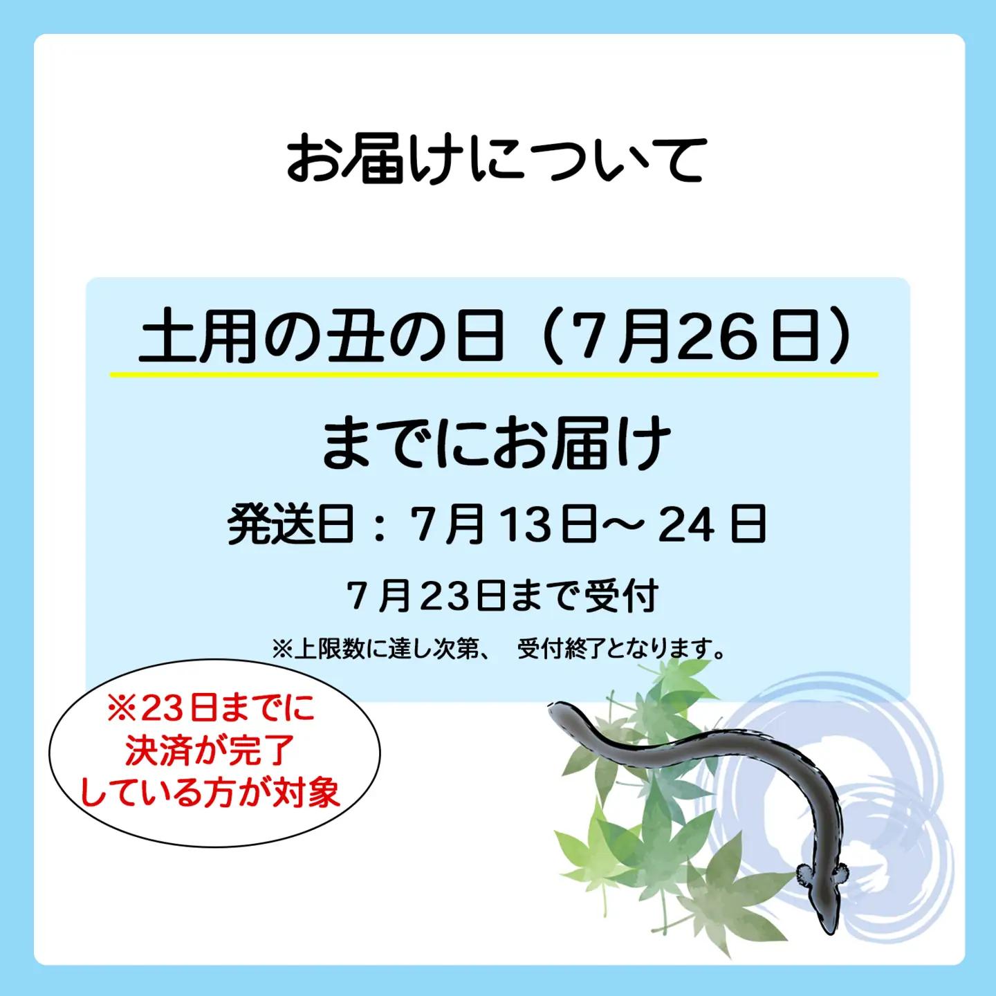 【丑の日までにお届け】 国産 うなぎ 蒲焼 2尾 計300g以上 鰻 K2390