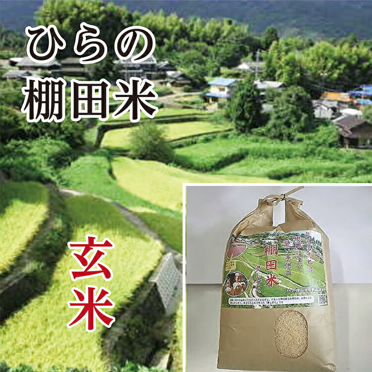 【ふるさと納税】【令和7年産 新米 予約】 棚田米 夢しずく 玄米 10kg × 2袋 計 20kg ひらの棚田米 | 玄米 10キロ 2袋 計 20キロ こめ コメ 米 お米 ごはん _c-86