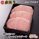 【ふるさと納税】【年内 順次発送】 飛騨牛 A5ランク サーロインステーキ 800g 冷蔵 下呂温泉 おすすめ 牛肉 肉 和牛 赤身 人気 ブランド牛 肉ギフト 国産 贈答品 焼肉用 バーベキュー ギフト サーロイン 霜降り ステーキ 50000円　5万円 岐阜県 下呂市