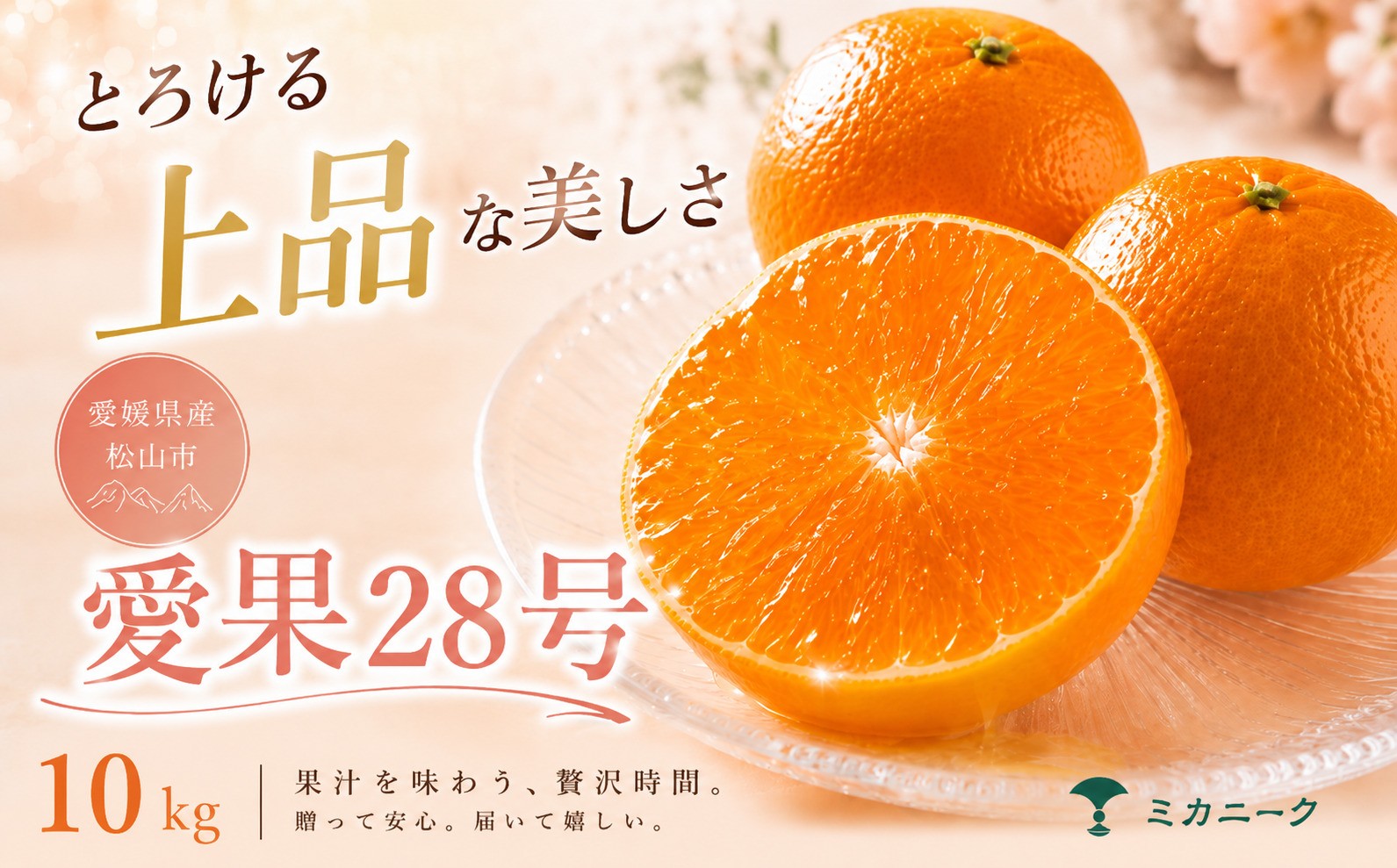 
                  【数に限りあり】ゼリー食感【愛果28号（紅まどんなと同品種）】10kg 愛媛県産 【2026年11月下旬頃から順次発送】 | みかん あいか 柑橘 果物 愛媛のみかん くだもの ギフト フルーツ ご家庭用 数量限定 愛媛三大柑橘（ 紅まどんな せとか 甘平 ） 愛媛県 松山市
                