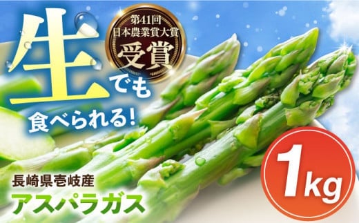 壱岐産 アスパラガス 1kg（L~2Lサイズ）《壱岐市》【壱岐市農業協同組合】[JBO004] 野菜 旬 春野菜 夏野菜 新鮮 産地直送 アスパラ 冷蔵配送 夏野菜 春野菜 季節の野菜 グリーンアスパラガス 13000 13000円