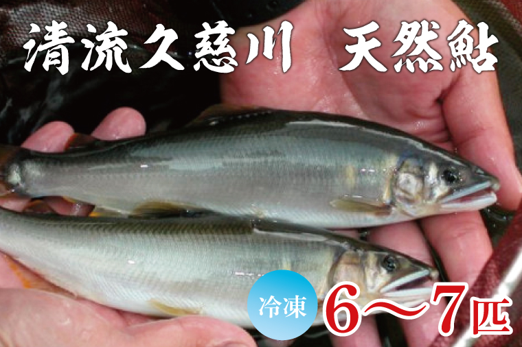 【夏季限定】清流 久慈川 天然鮎 6～7匹｜茨城県 大子町 あゆ 魚 川魚 冷凍（AA001）