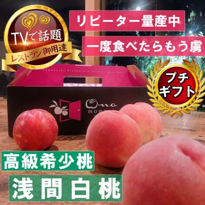 2027年発送先行受付【市場にほぼ出回らない浅間白桃】人気品種指定ギフト5年連続TV出演話題ブランド【配送不可地域：離島・北海道・沖縄県・中国・四国・九州】