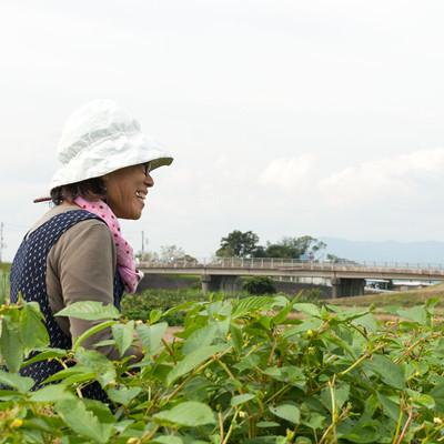 ふるさと納税 大刀洗町 「TACHIARAI」おいしかぁ〜便 (夢つくし2kg入) |  | 01