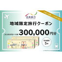 【ふるさと納税】京都府京都市 日本旅行 地域限定旅行クーポン300,000円分 | 京都府 京都市 トラベル 宿泊 予約 旅行クーポン 人気 おすすめ