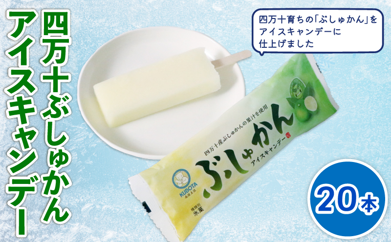 四万十ぶしゅかんアイスキャンデー 20本