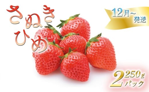 いちごのお姫様 さぬきひめ 12月から順次発送 選べる容量 約250g×2パック 苺 いちご 果物 フルーツ 果物 ブランド さぬき姫 ジューシー 果汁 甘い 季節 デザート スイーツ ふるさと納税いちご ふるさと納税フルーツ 国産 香川県 丸亀市