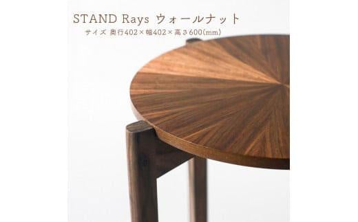 
STAND Rays ウォールナット
