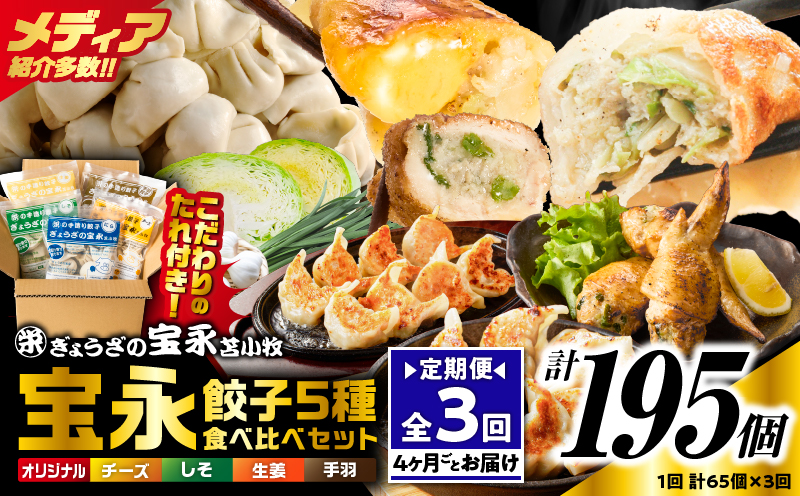 【定期便・全3回 4ヶ月毎】手包み餃子 ぎょうざの宝永 5種食べ比べセット（65個入）　T004-T07-01
