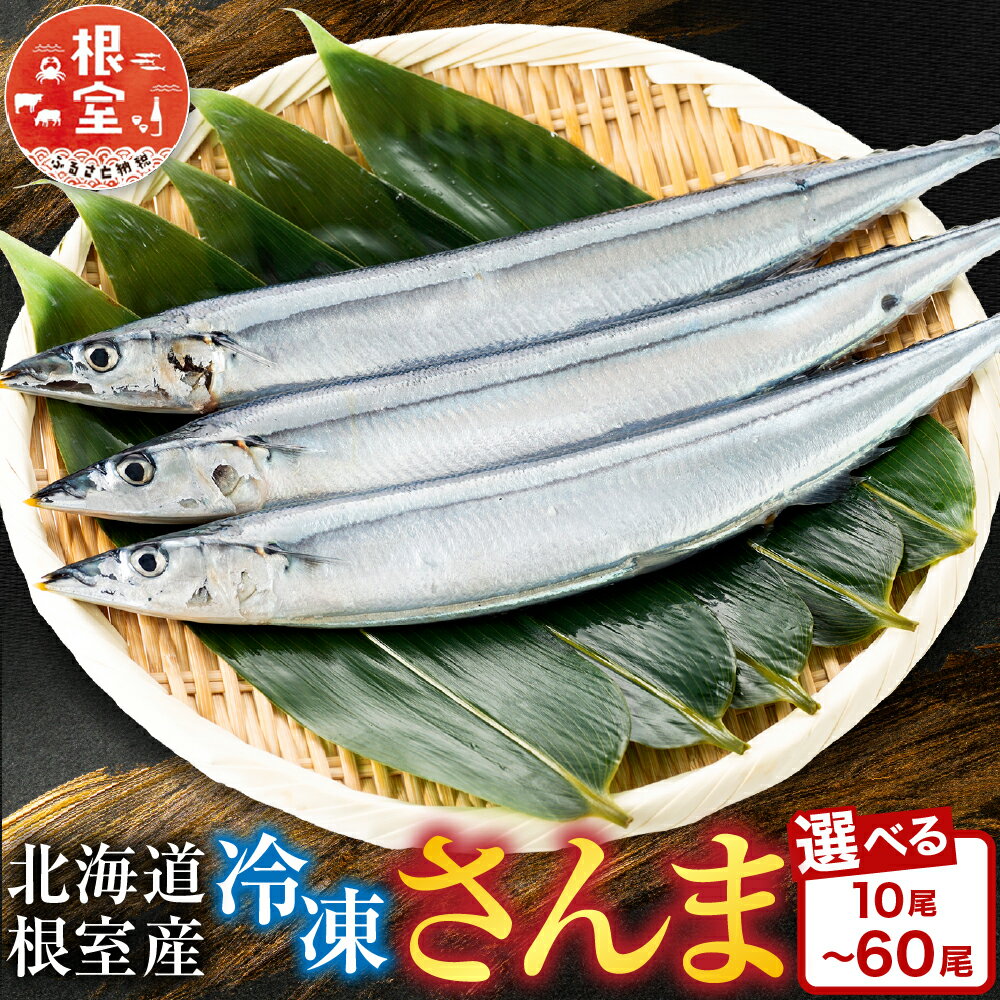 【ふるさと納税】【12/31決済分まで1月中配送】 [北海道根室産] 冷凍さんま 選べる 10 尾 〜 60 尾 さかな サカナ 魚 サンマ 秋刀魚 お取り寄せ グルメ 海鮮 北海道 根室市 ふるさと納税