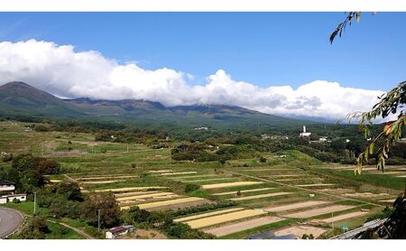 【古久庄 村松商店】お⽶マイスターの気まぐれお任せ⼩諸⽶（10kg）信州 長野 ごはん ご飯 コメ コシヒカリ あきたこまち つきあかり 風さやか ひとめぼれ ゆうだい25 ブレンド米