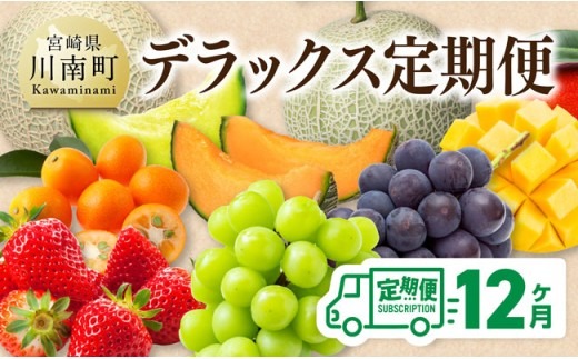 【 12ヶ月定期便 】 デラックス 定期便 【 川南町産 くだもの きんかん いちご 完熟 マンゴー ぶどう ピオーネ シャイン マスカット 大玉 メロン 】[B11701t12]